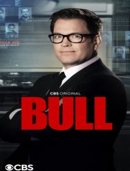 Bull