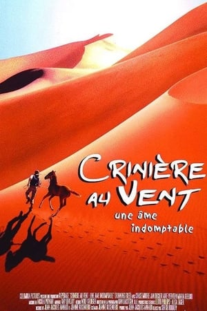 Crinière au vent, une âme indomptable