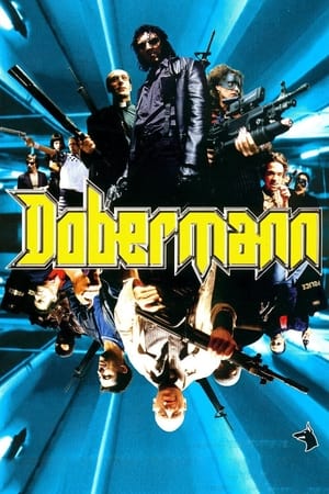 Dobermann