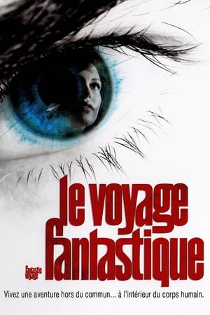 Le voyage fantastique