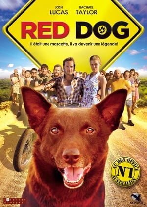 Red Dog