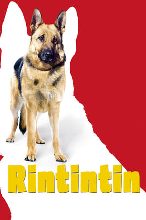 Rintintin